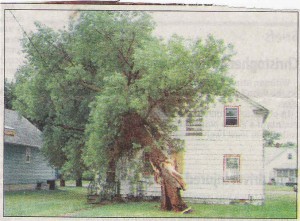 Grandma's old house